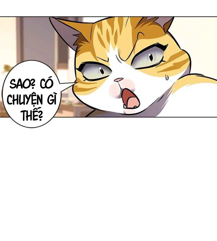 Hoá Thân Thành Mèo Chapter 370 - 144