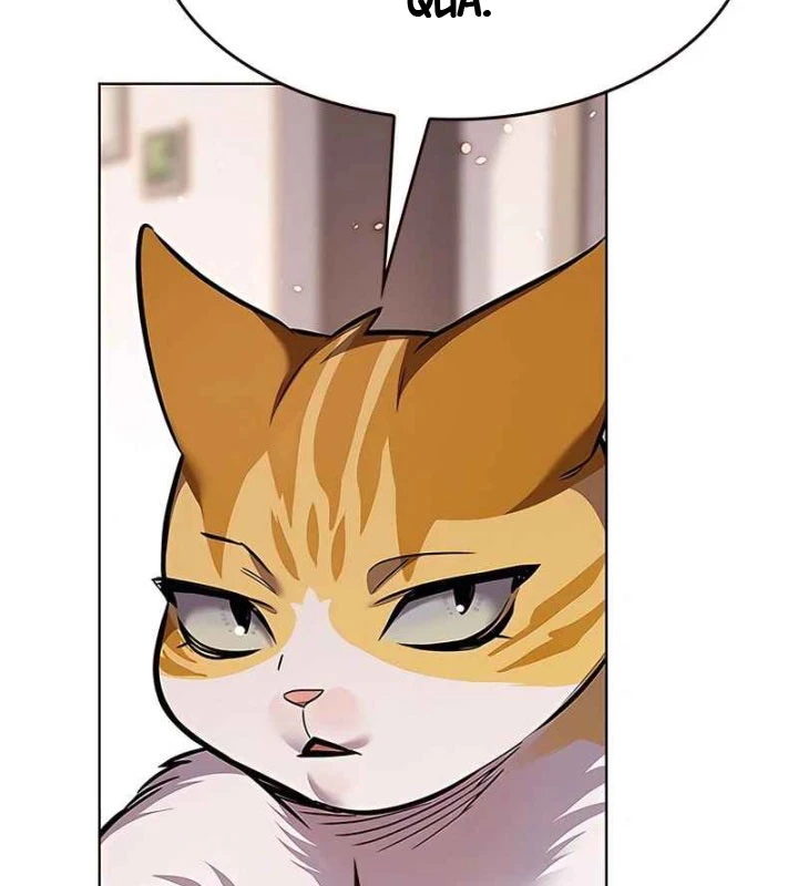 Hoá Thân Thành Mèo Chapter 370 - 158