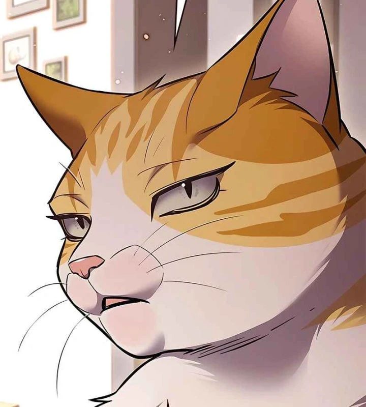 Hoá Thân Thành Mèo Chapter 370 - 162