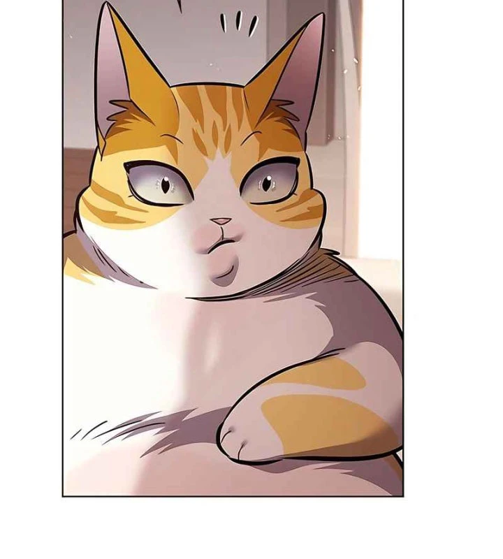 Hoá Thân Thành Mèo Chapter 370 - 167