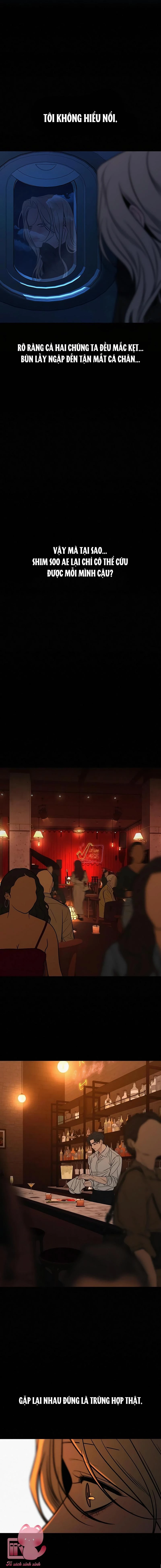 Chiến Lược: Tình Yêu Trong Sáng Chapter 122 - 13