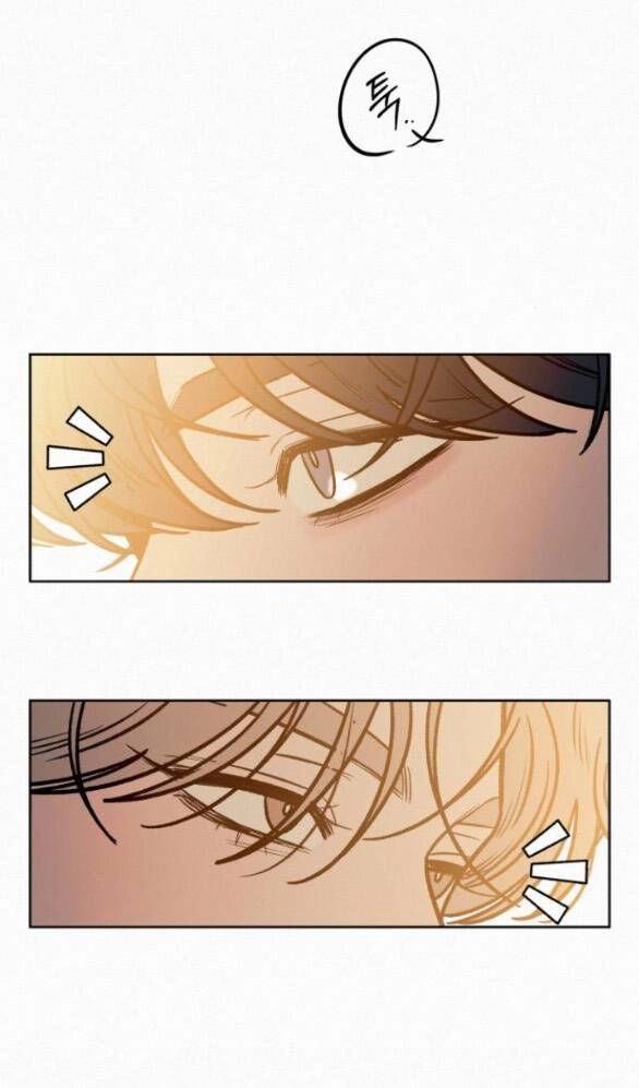 Chiến Lược: Tình Yêu Trong Sáng Chapter 68 - 79