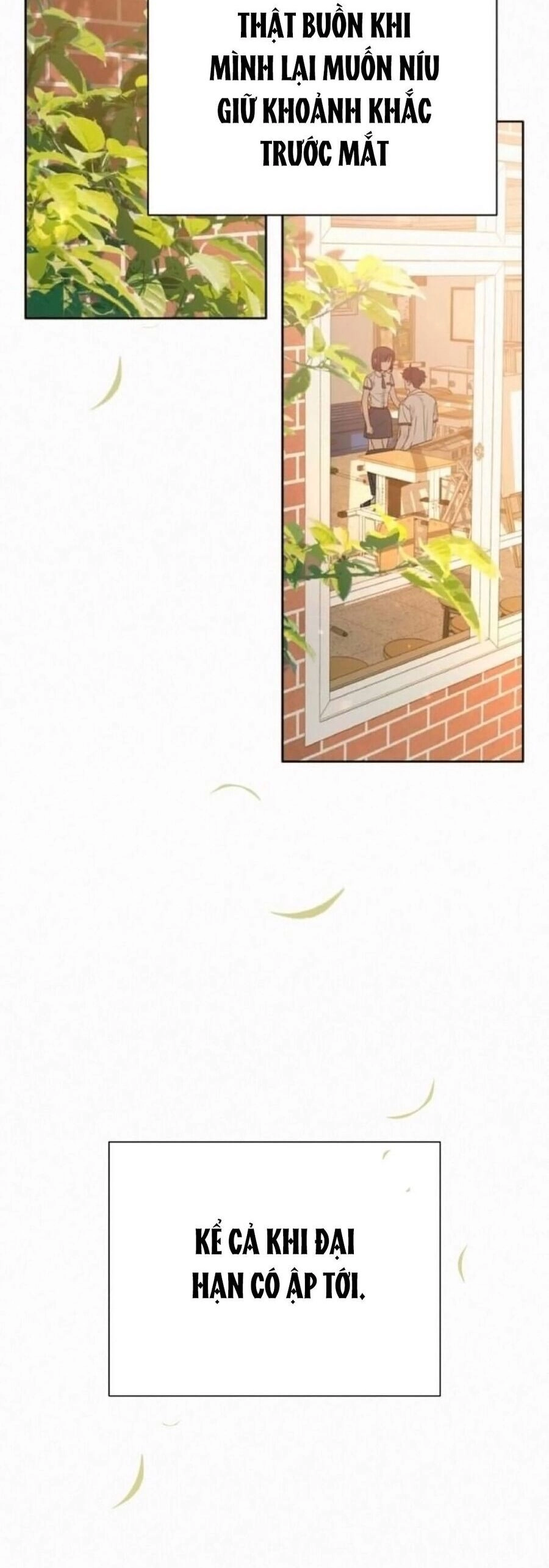 Chiến Lược: Tình Yêu Trong Sáng Chapter 72 - 24