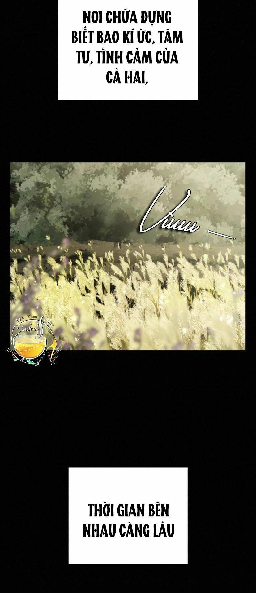 Chiến Lược: Tình Yêu Trong Sáng Chapter 11 - 17