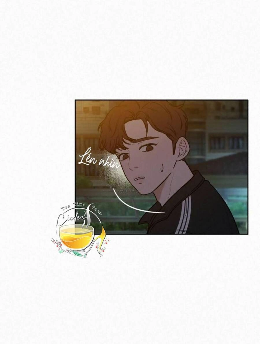 Chiến Lược: Tình Yêu Trong Sáng Chapter 22 - 19