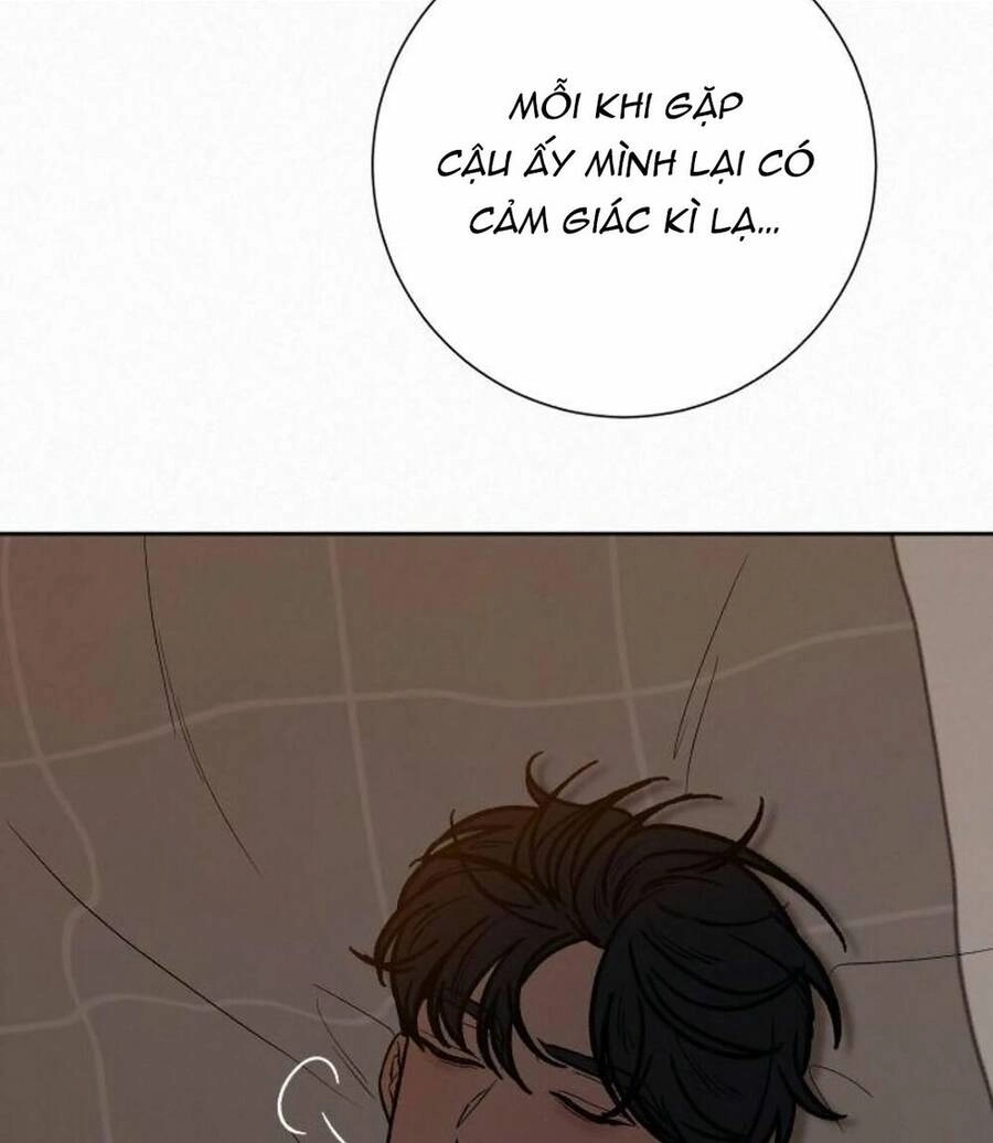 Chiến Lược: Tình Yêu Trong Sáng Chapter 22 - 82