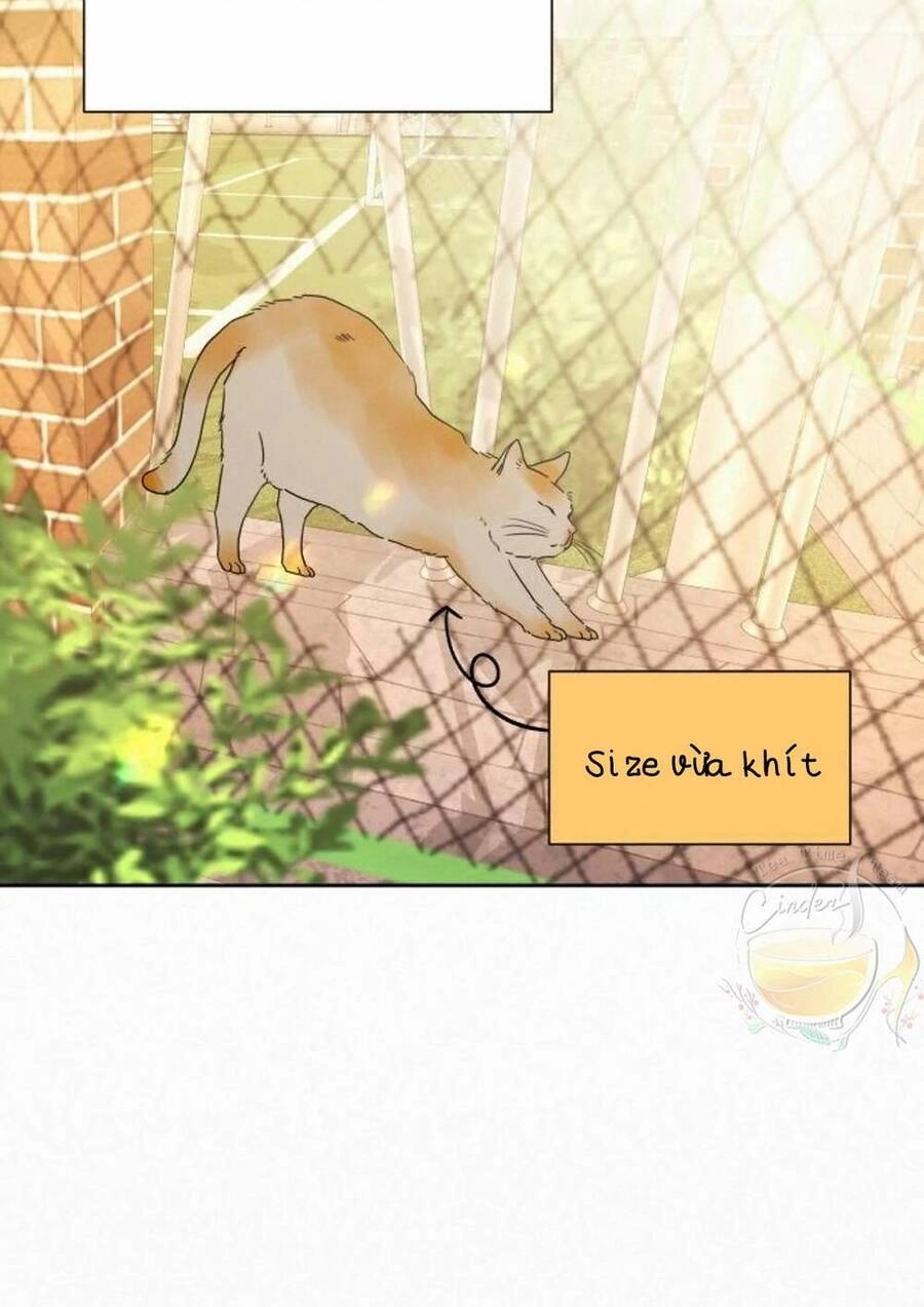 Chiến Lược: Tình Yêu Trong Sáng Chapter 44 - 60