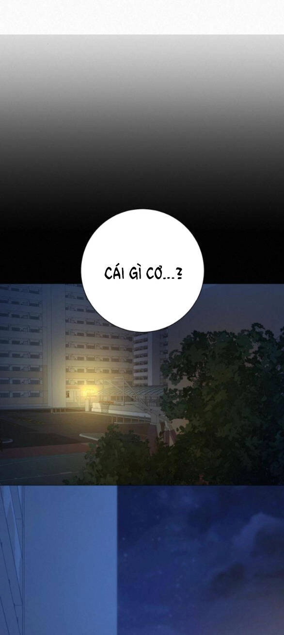 Chiến Lược: Tình Yêu Trong Sáng Chapter 56 - 56