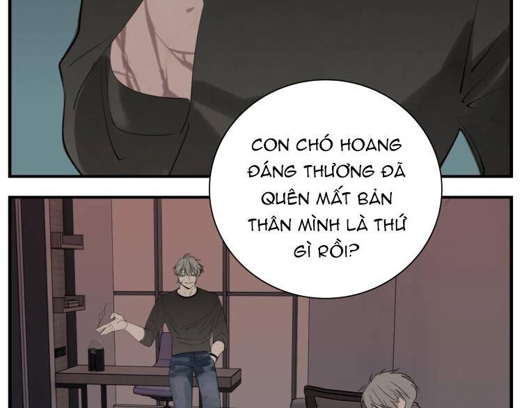 Vật Trong Tay Chapter 74 - 101