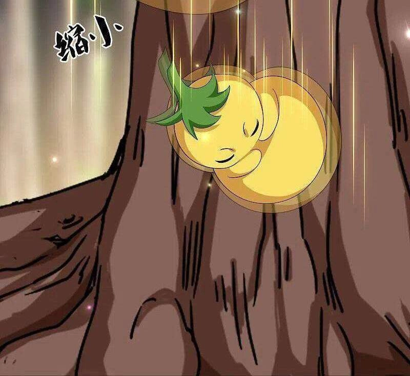 Tu La Kiếm Tôn Chapter 264 - 8