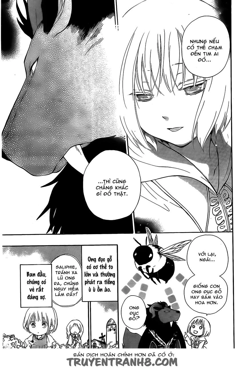 Vua Quái Vật Và Nàng Công Chúa Hiến Tế Chapter 2 - 14