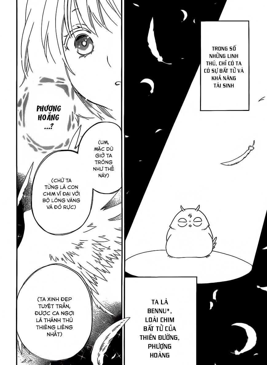 Vua Quái Vật Và Nàng Công Chúa Hiến Tế Chapter 10 - 7