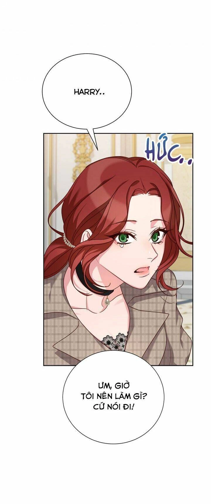 Tôi Sẽ Chỉ Sống Như Một Nhân Vật Phản Diện Chapter 29 - 28