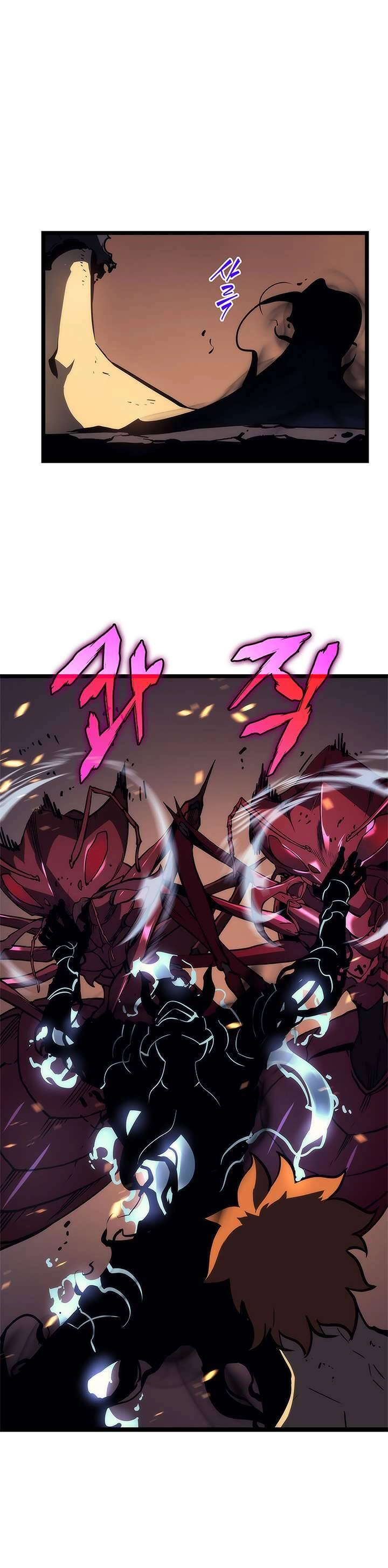 Tôi Thăng Cấp Một Mình Chapter 100 - 65