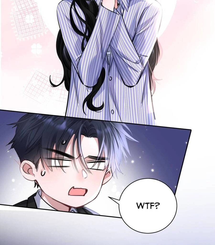 Xin Lỗi, Tôi Cũng Là Lão Đại Chapter 1 - 41