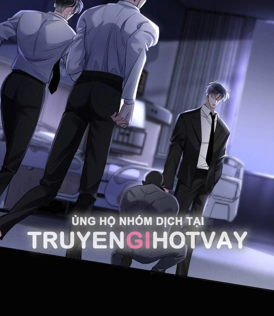 Xin Lỗi, Tôi Cũng Là Lão Đại Chapter 2 - 12