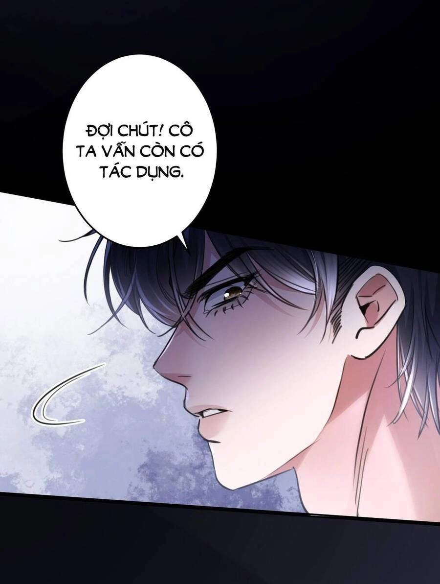 Xin Lỗi, Tôi Cũng Là Lão Đại Chapter 2 - 17