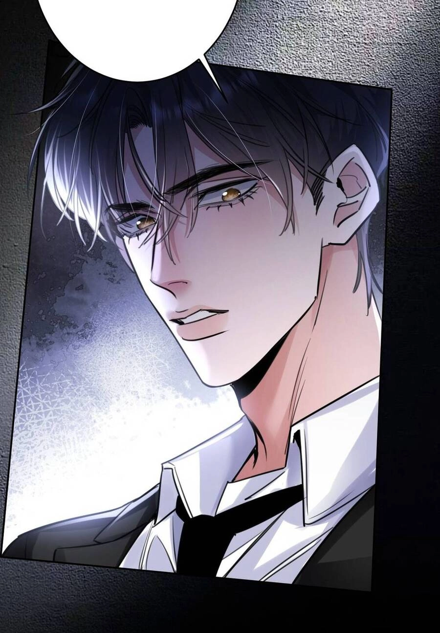 Xin Lỗi, Tôi Cũng Là Lão Đại Chapter 2 - 20