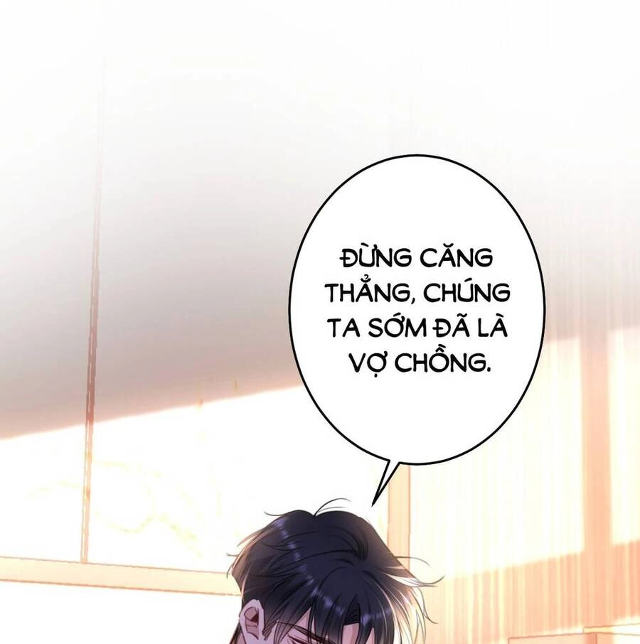 Xin Lỗi, Tôi Cũng Là Lão Đại Chapter 2 - 56