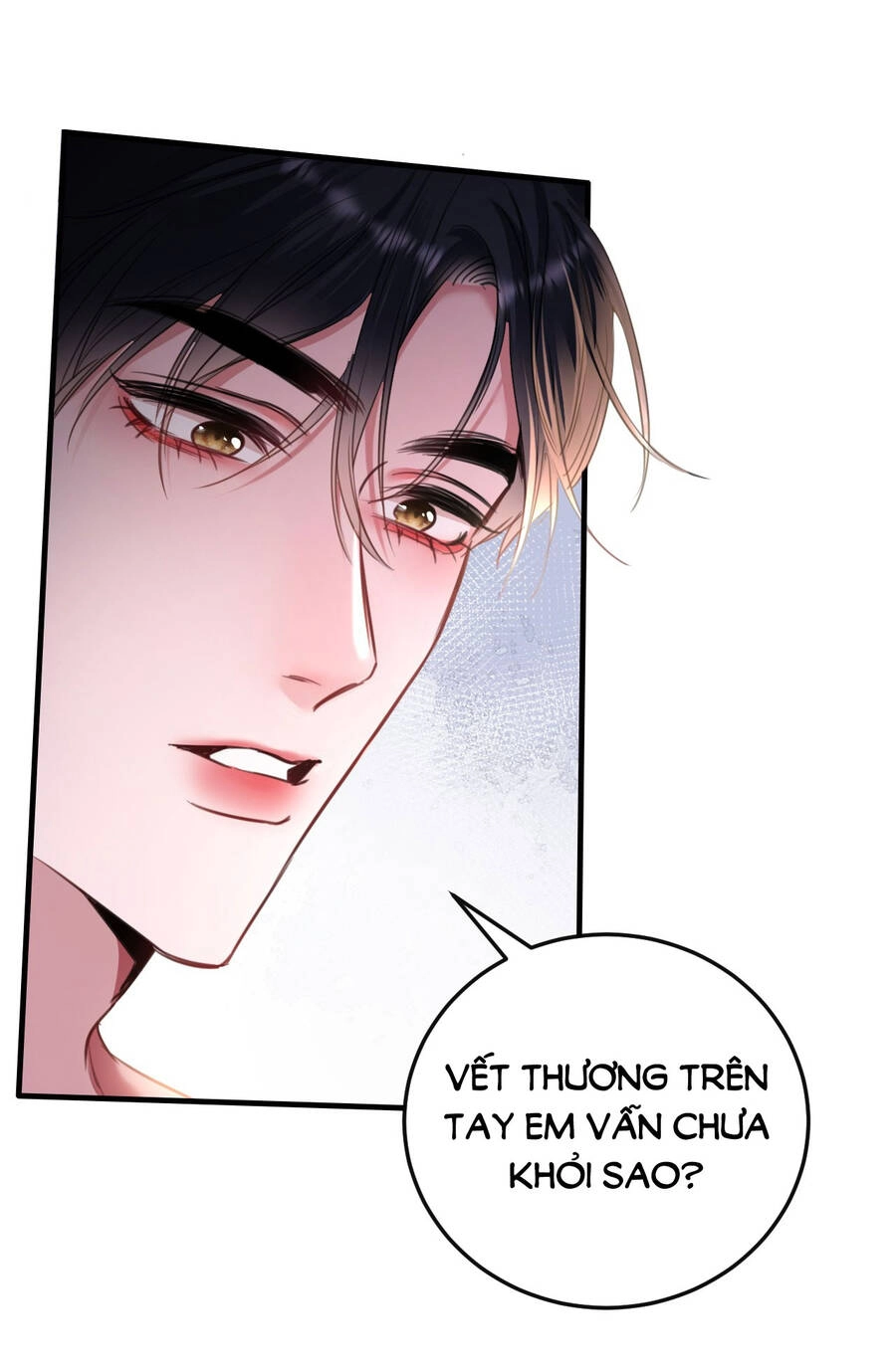 Xin Lỗi, Tôi Cũng Là Lão Đại Chapter 5.2 - 2