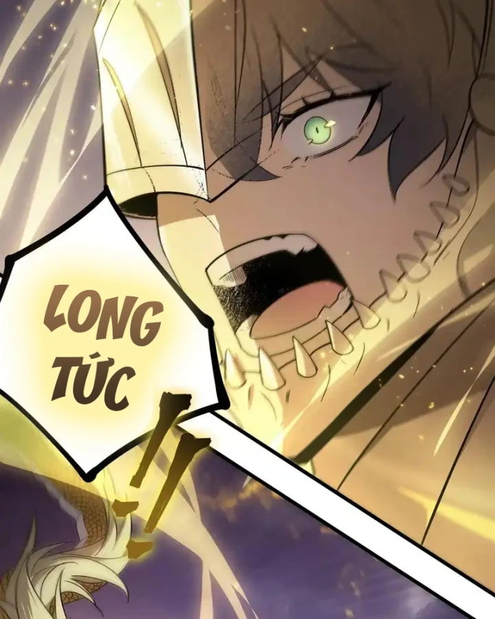 Thánh Hiệp Sĩ Cấp Sss Chapter 118 - 68