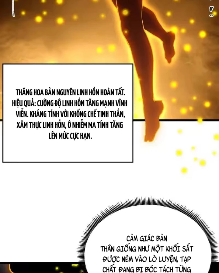 Thánh Hiệp Sĩ Cấp Sss Chapter 137 - 25