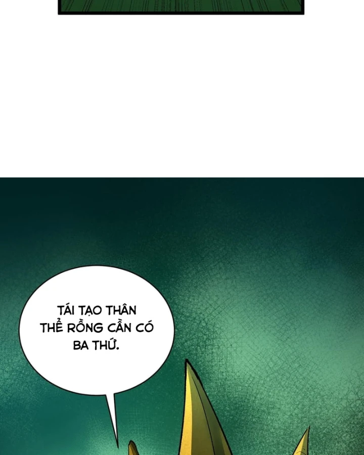 Thánh Hiệp Sĩ Cấp Sss Chapter 170 - 10