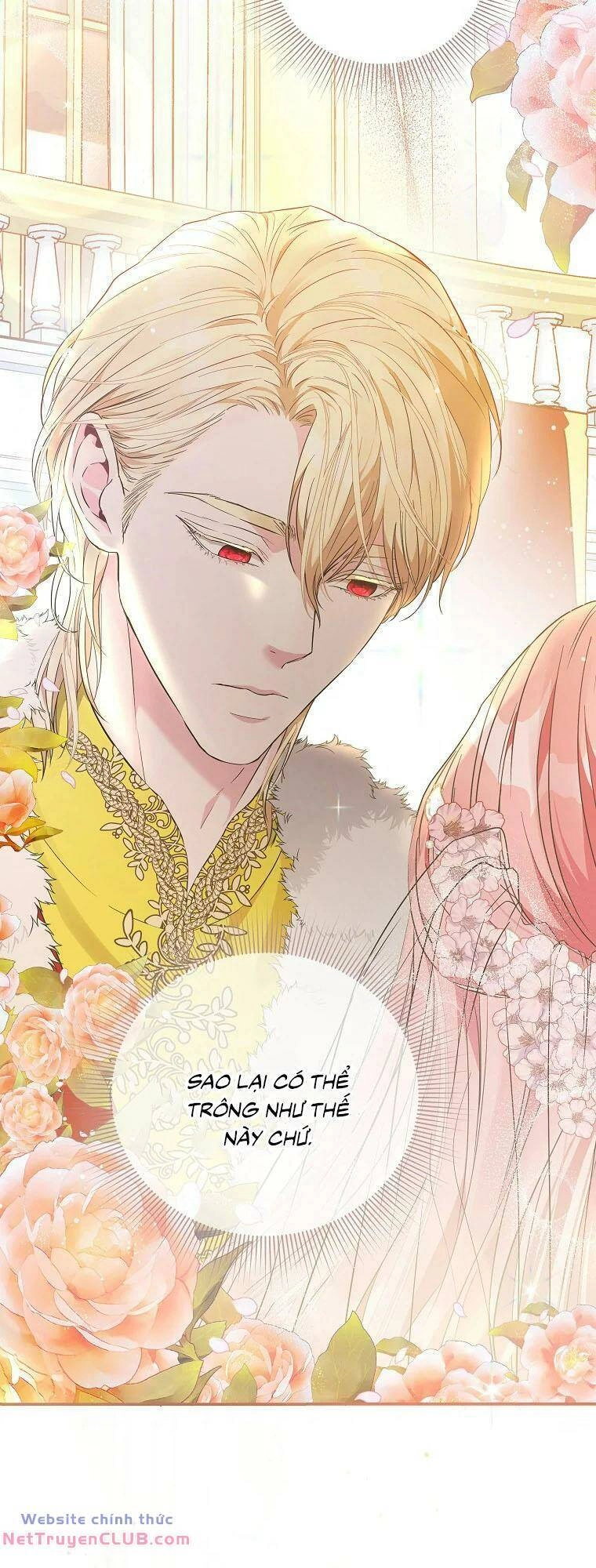 Này Người Chồng Phản Diện, Ngài Ám Ảnh Sai Người Rồi Chapter 1 - 24