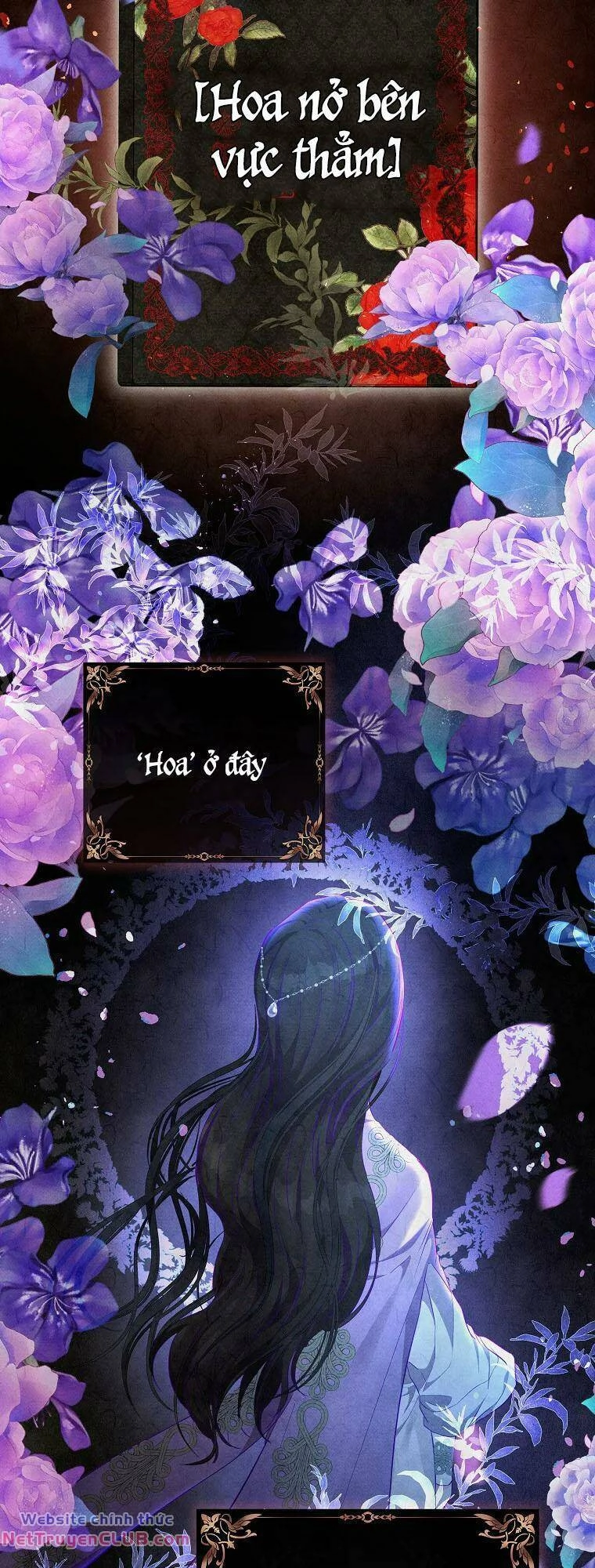 Này Người Chồng Phản Diện, Ngài Ám Ảnh Sai Người Rồi Chapter 1 - 34