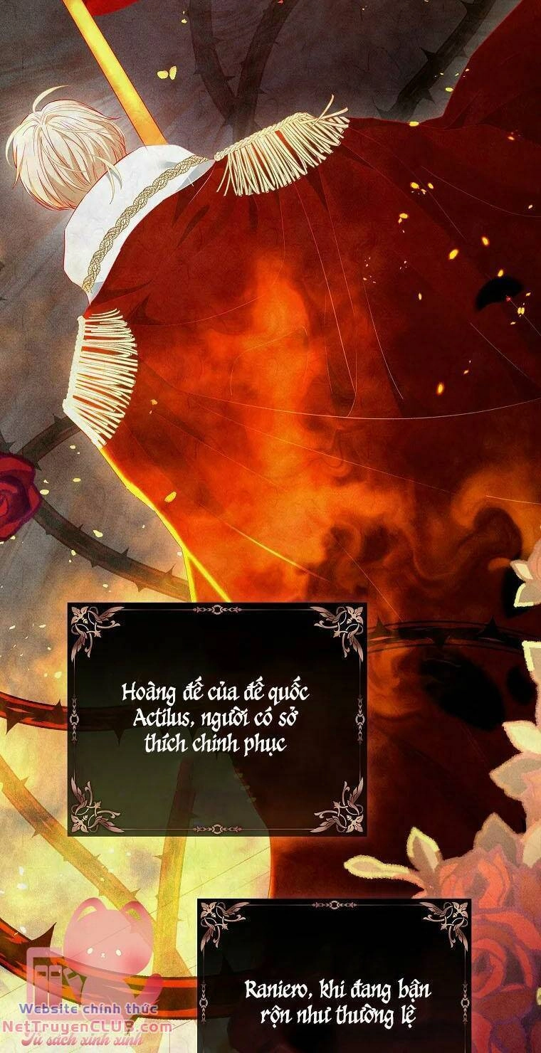 Này Người Chồng Phản Diện, Ngài Ám Ảnh Sai Người Rồi Chapter 1 - 36