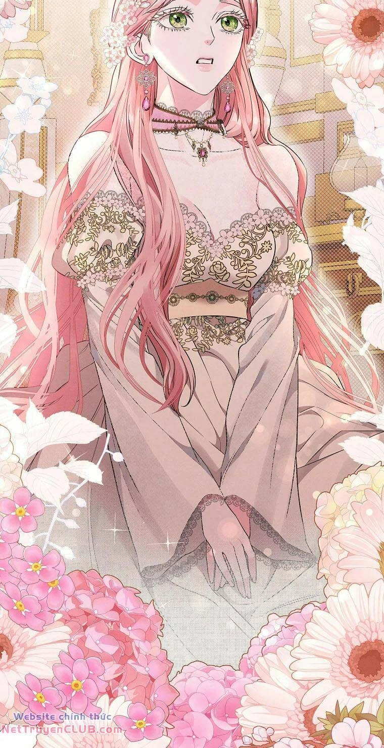 Này Người Chồng Phản Diện, Ngài Ám Ảnh Sai Người Rồi Chapter 2 - 72