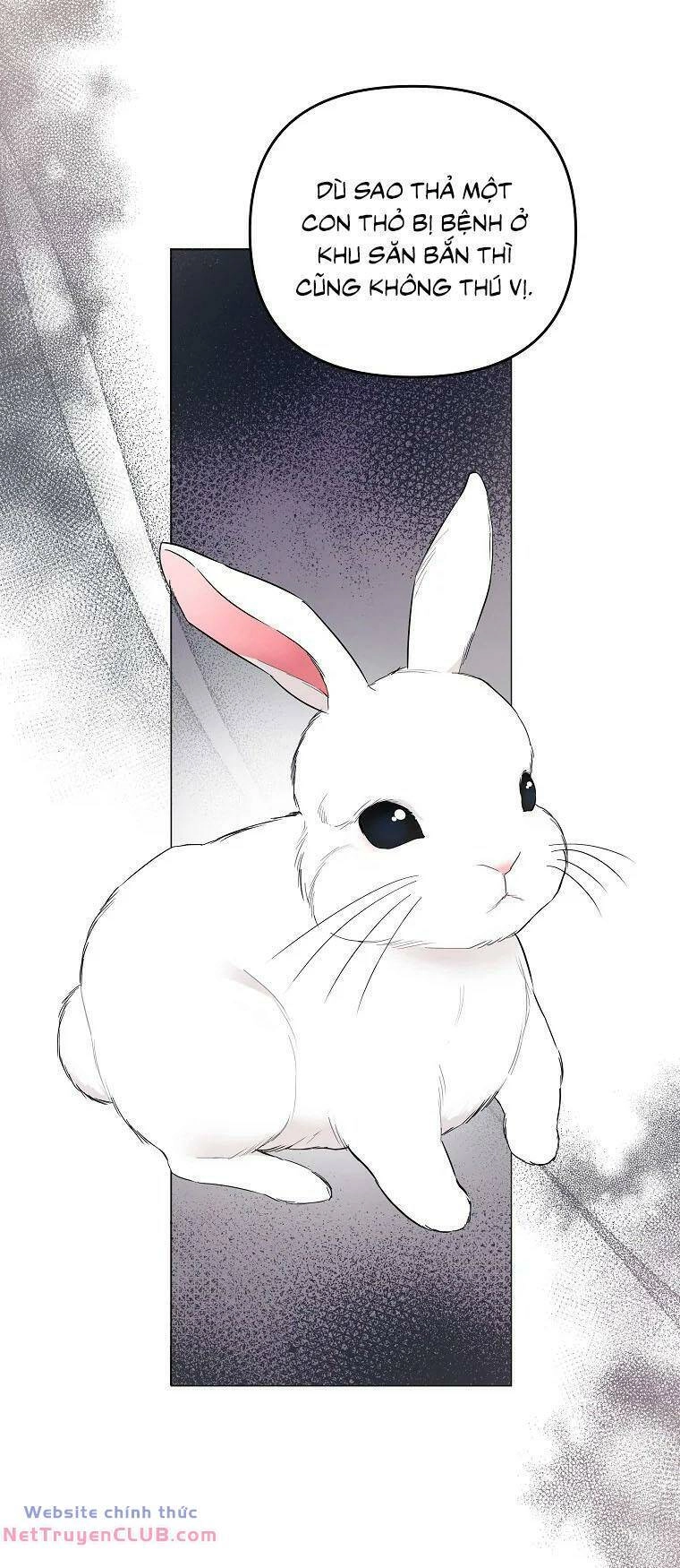 Này Người Chồng Phản Diện, Ngài Ám Ảnh Sai Người Rồi Chapter 5 - 14