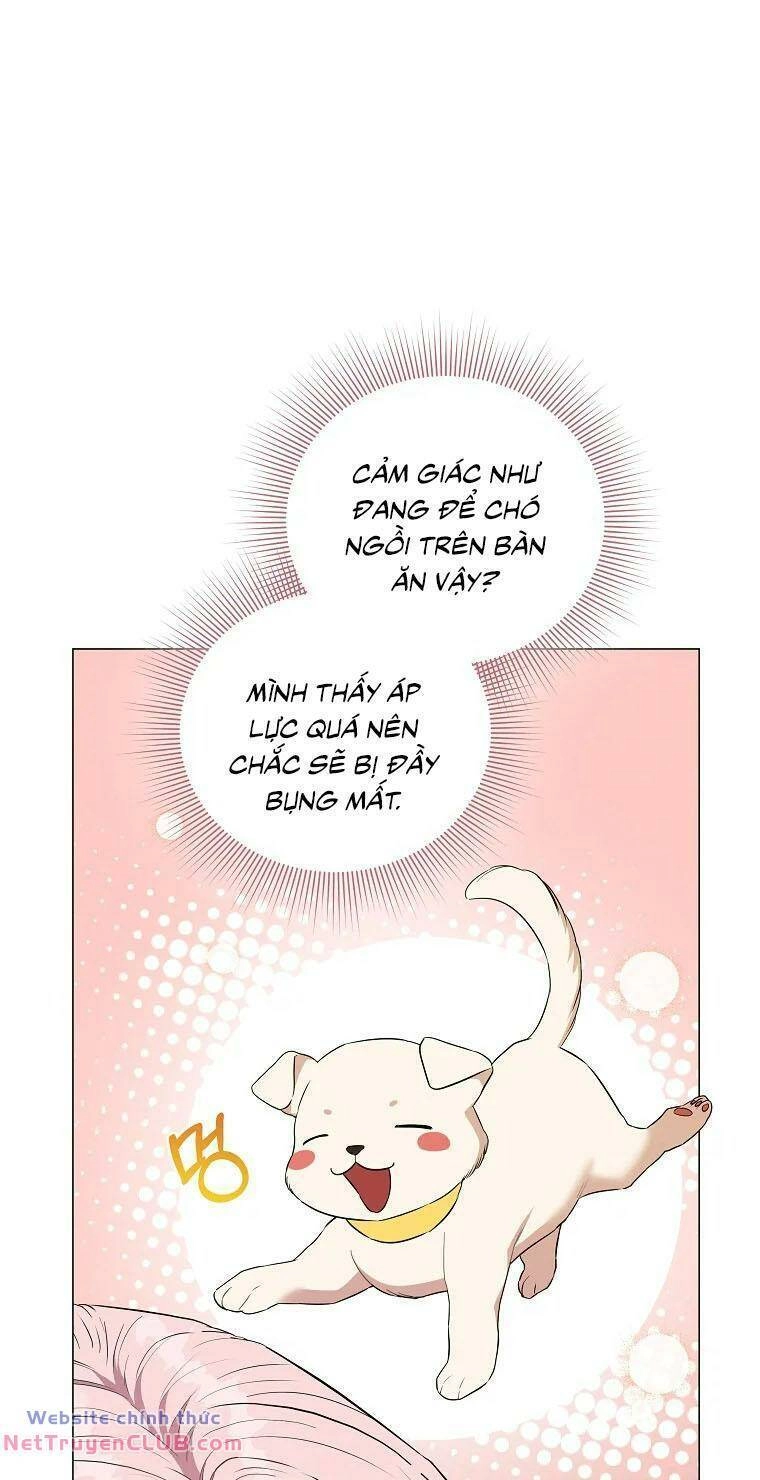 Này Người Chồng Phản Diện, Ngài Ám Ảnh Sai Người Rồi Chapter 5 - 57