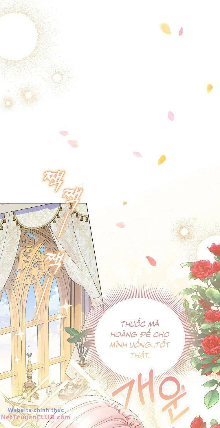 Này Người Chồng Phản Diện, Ngài Ám Ảnh Sai Người Rồi Chapter 9 - 13