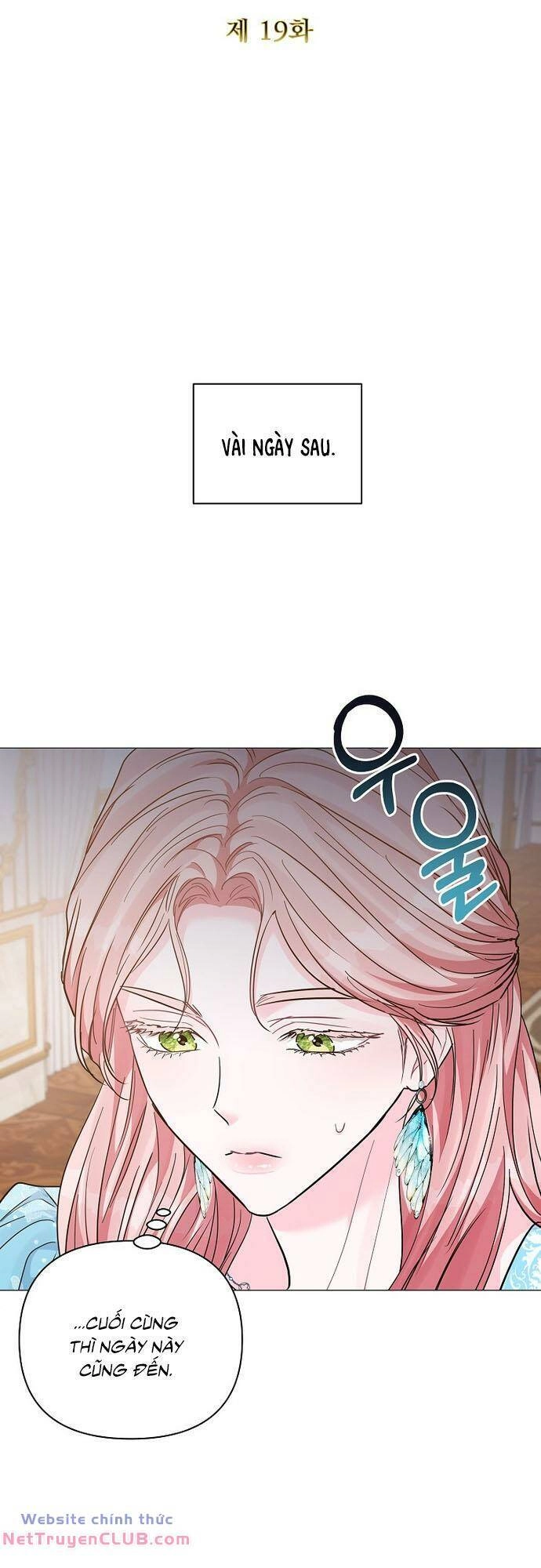 Này Người Chồng Phản Diện, Ngài Ám Ảnh Sai Người Rồi Chapter 19 - 17