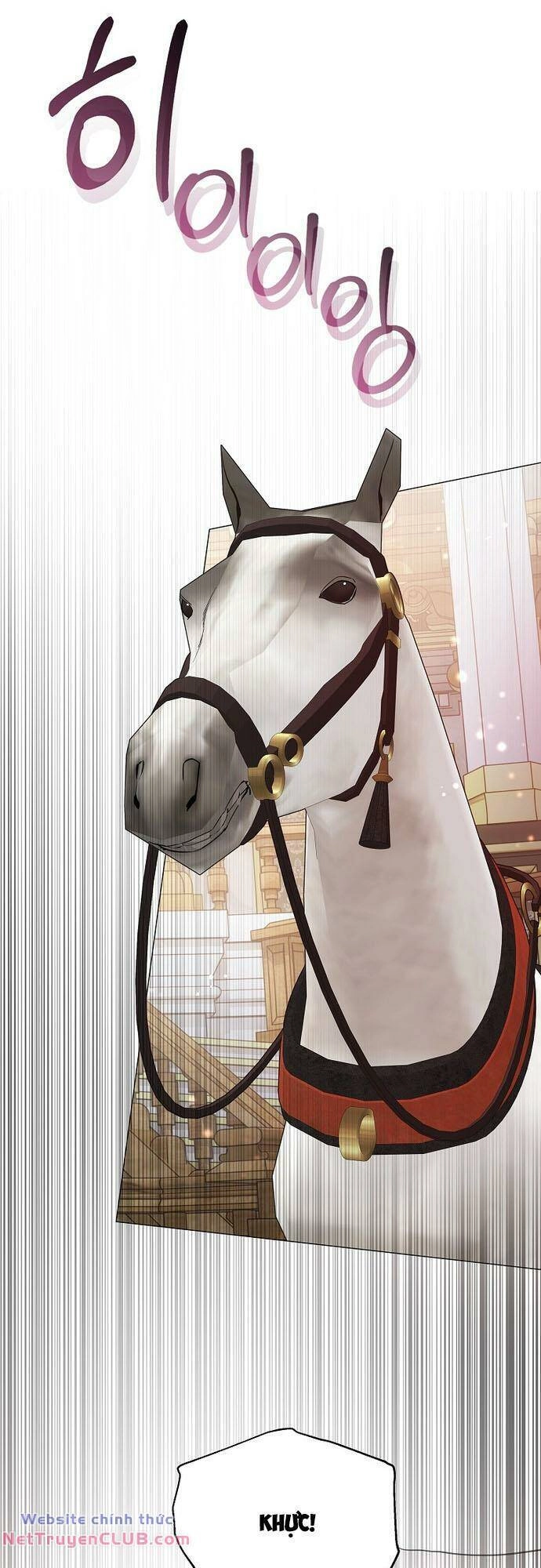 Này Người Chồng Phản Diện, Ngài Ám Ảnh Sai Người Rồi Chapter 21 - 42