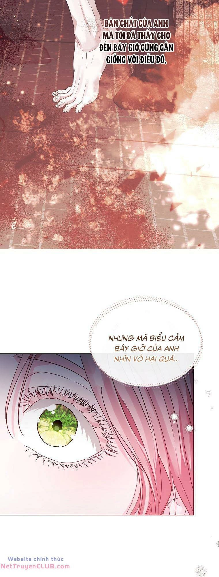 Này Người Chồng Phản Diện, Ngài Ám Ảnh Sai Người Rồi Chapter 24 - 34