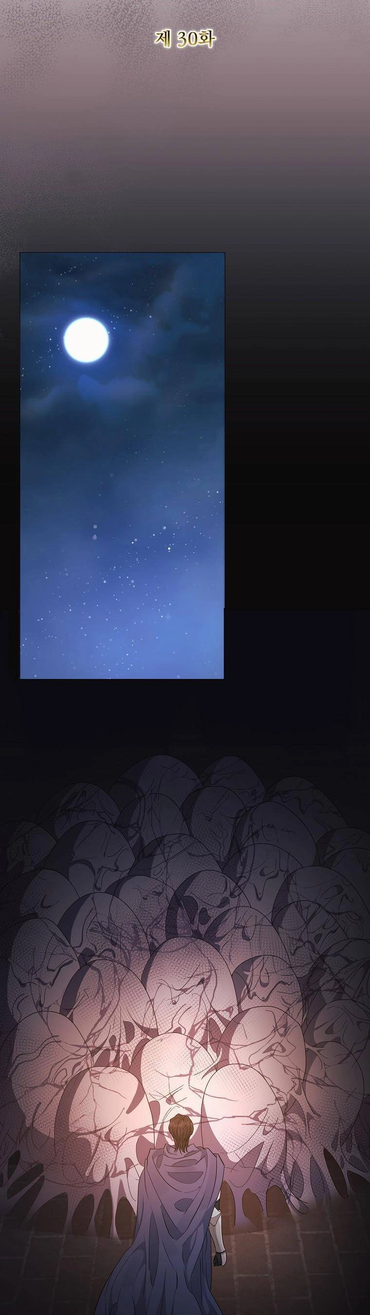 Này Người Chồng Phản Diện, Ngài Ám Ảnh Sai Người Rồi Chapter 30 - 14