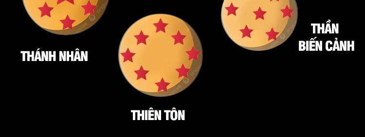 Chặt Củi 10 Năm, Tiên Tử Cầu Xin Ta Thu Nàng Làm Đồ Đệ Chapter 48 - 46