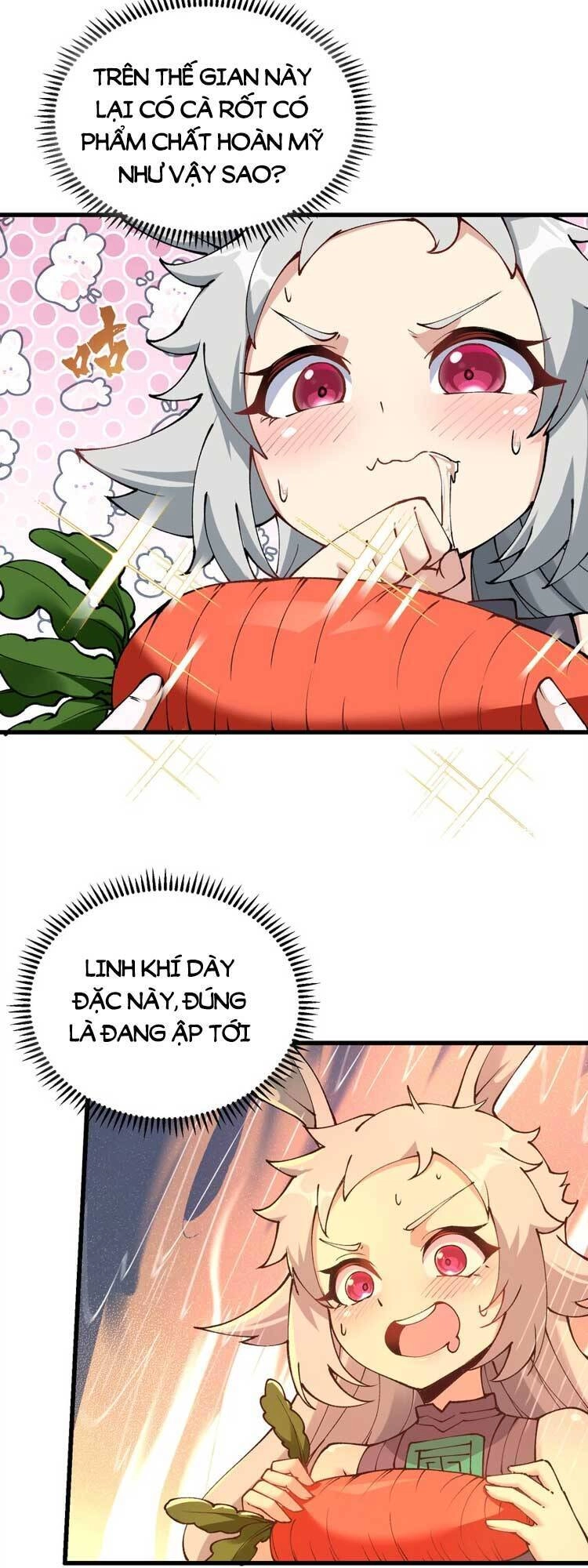 Chặt Củi 10 Năm, Tiên Tử Cầu Xin Ta Thu Nàng Làm Đồ Đệ Chapter 25 - 38