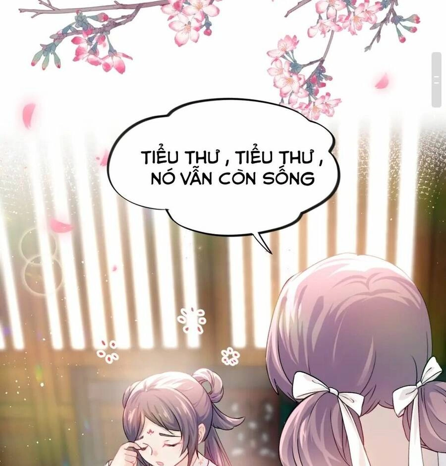 Một Đêm Bệnh Kiều Đột Nhiên Tới Chapter 11 - 28