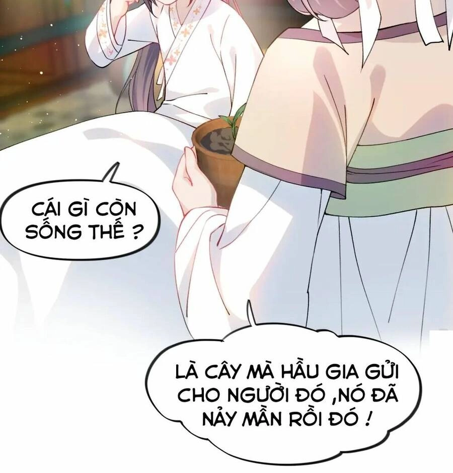 Một Đêm Bệnh Kiều Đột Nhiên Tới Chapter 11 - 29