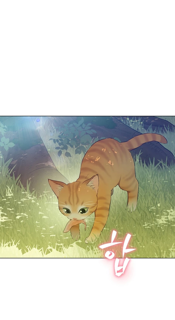 Một Ngày Nọ Tôi Bỗng Thành Nàng Công Chúa Chapter 133.1 - 12