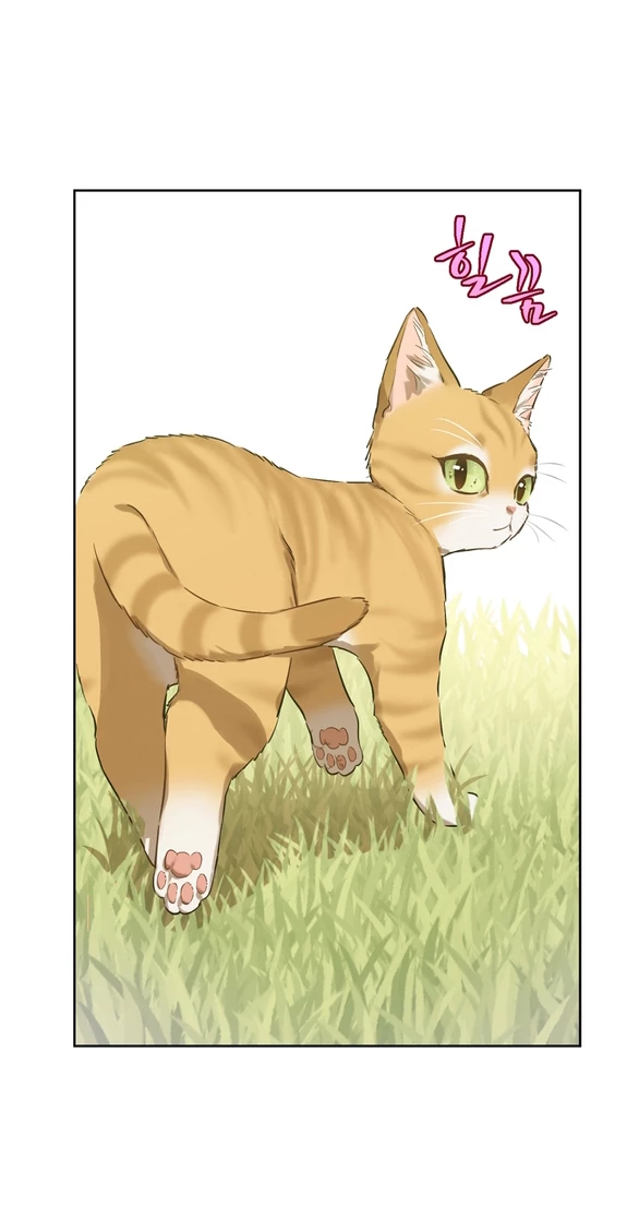 Một Ngày Nọ Tôi Bỗng Thành Nàng Công Chúa Chapter 133.1 - 21