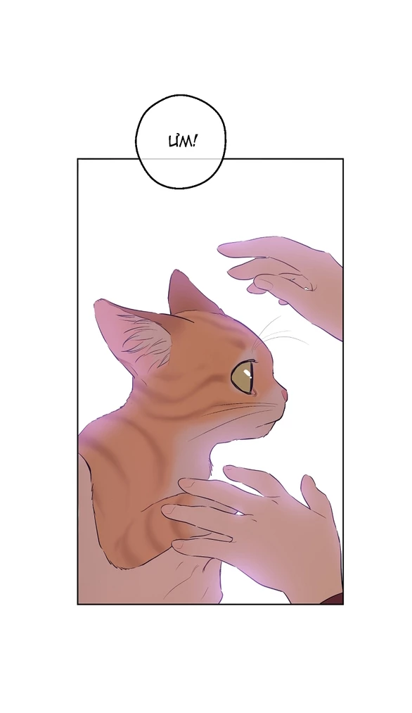 Một Ngày Nọ Tôi Bỗng Thành Nàng Công Chúa Chapter 133.2 - 5