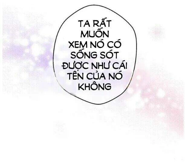 Một Ngày Nọ Tôi Bỗng Thành Nàng Công Chúa Chapter 4 - 15