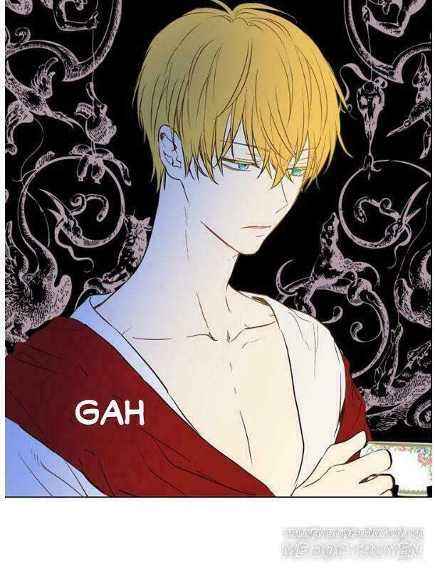 Một Ngày Nọ Tôi Bỗng Thành Nàng Công Chúa Chapter 22.5 - 41