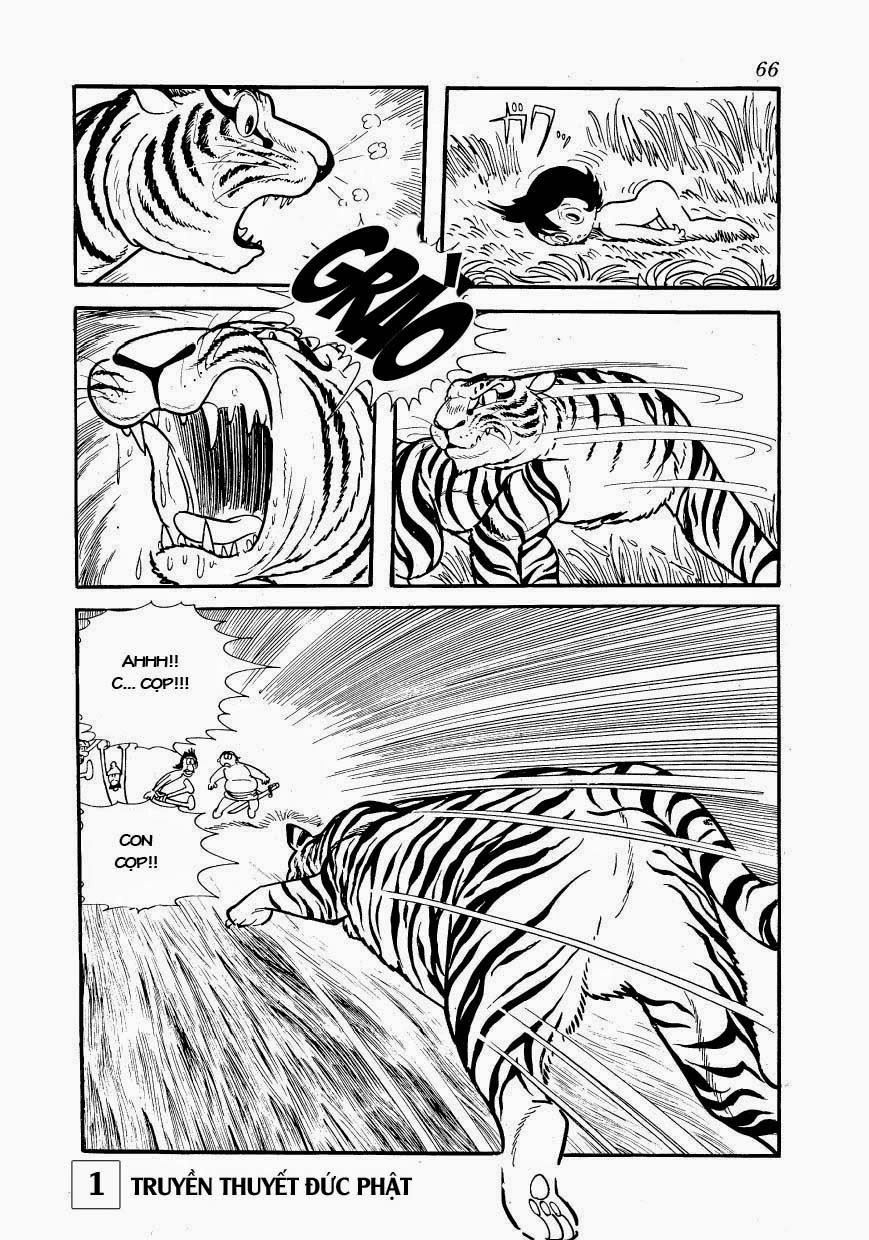 Buddha - Truyền Thuyết Đức Phật Chapter 2 - 9