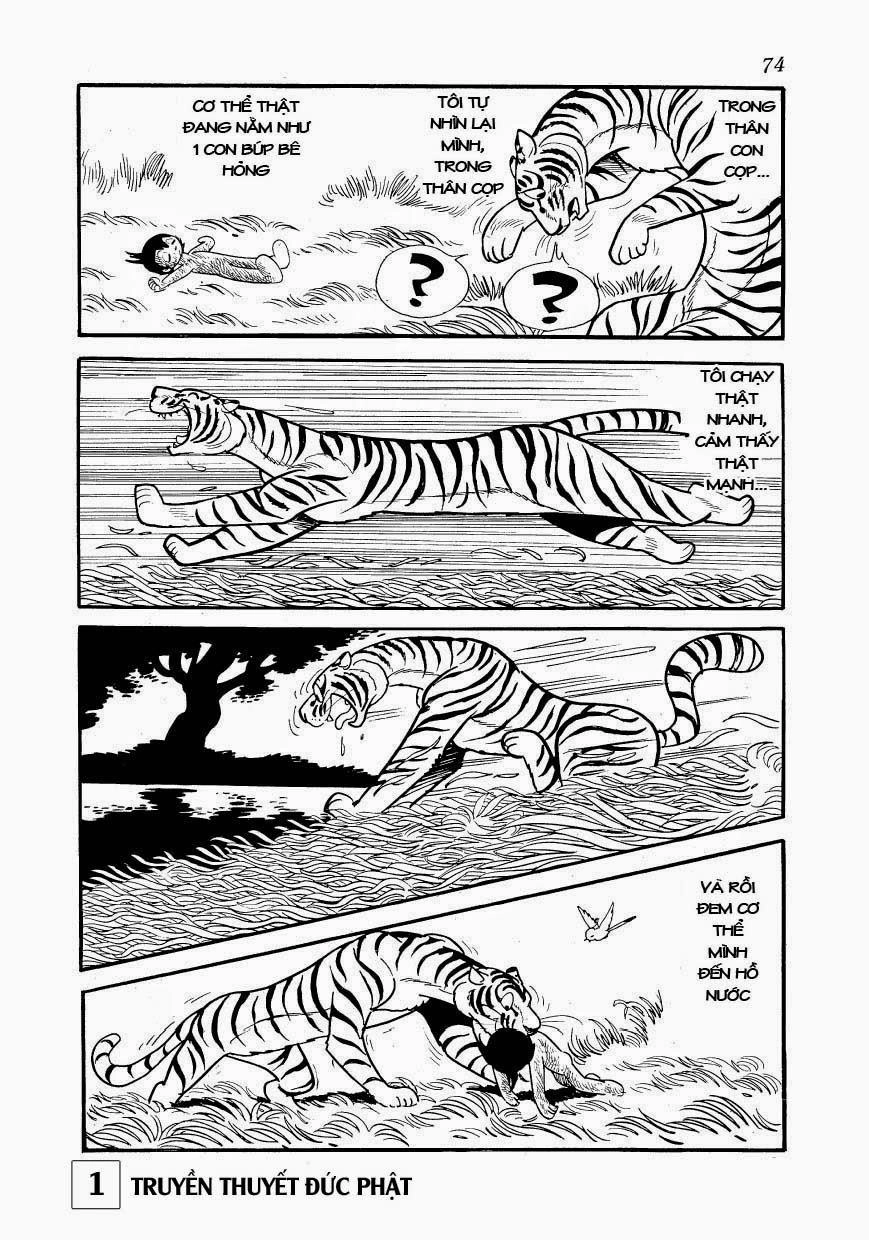 Buddha - Truyền Thuyết Đức Phật Chapter 2 - 17