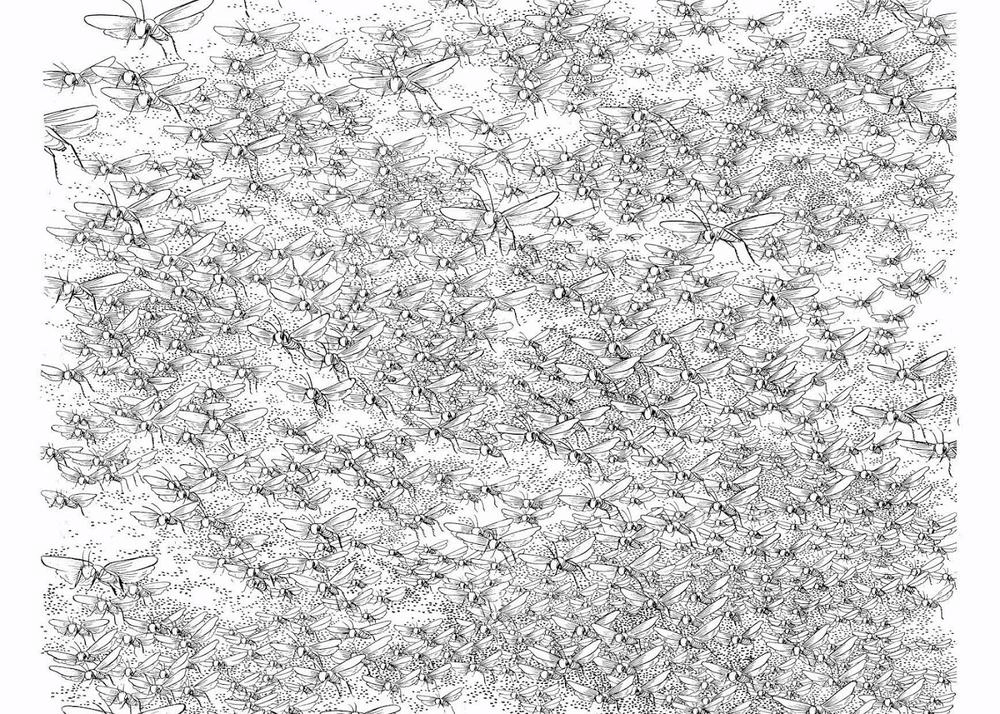 Buddha - Truyền Thuyết Đức Phật Chapter 3 - 5